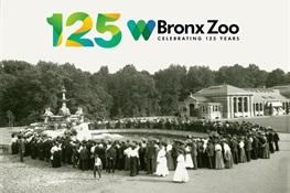 BRONX ZOO MEDIA ADVISORY:  Bronx Zoo Marks 125 Years with Opening of Animal Chronicles Exhibit and Birthday Celebration